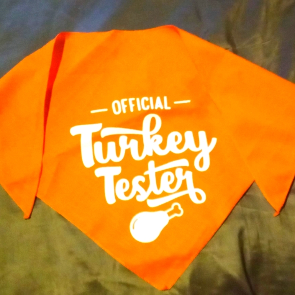Orange 'Turkey Tester' Dog Bandana